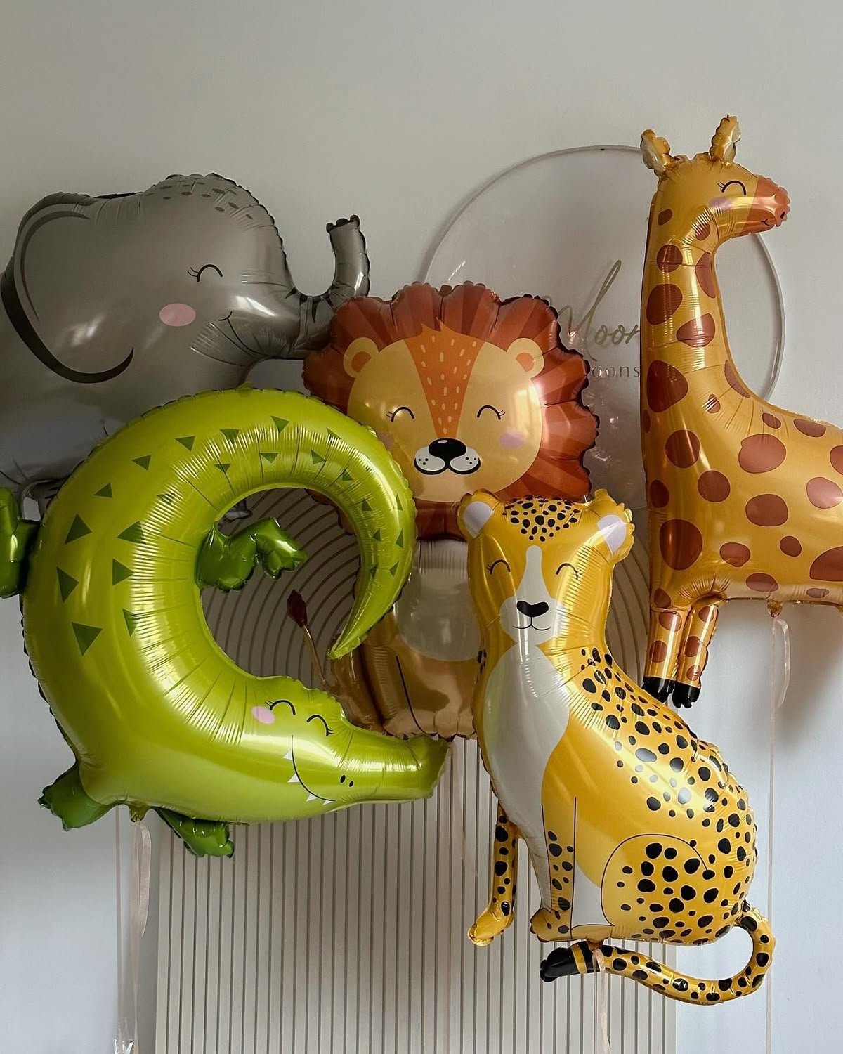 Animal Collection